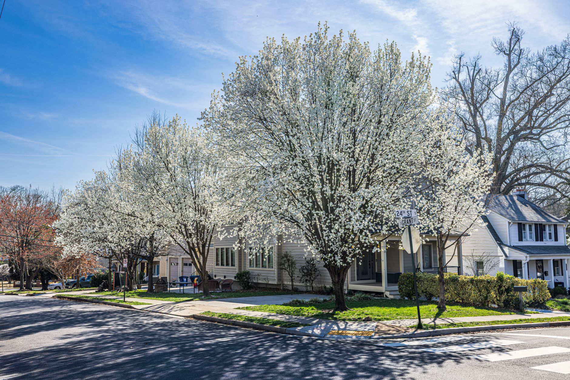 Local Wake County neighborhood in Cary, NC